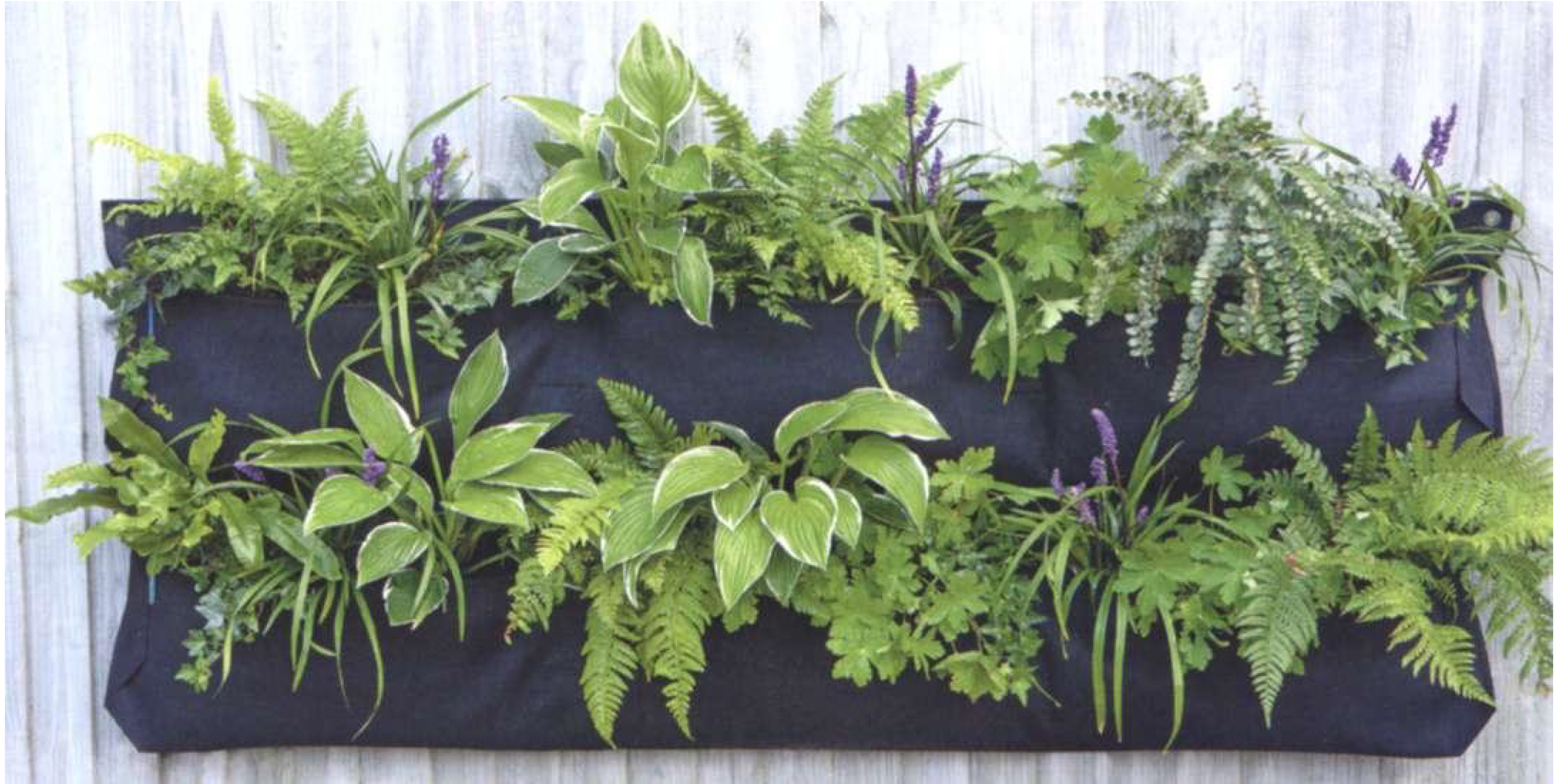How to Make a Living Wall Mother Earth News